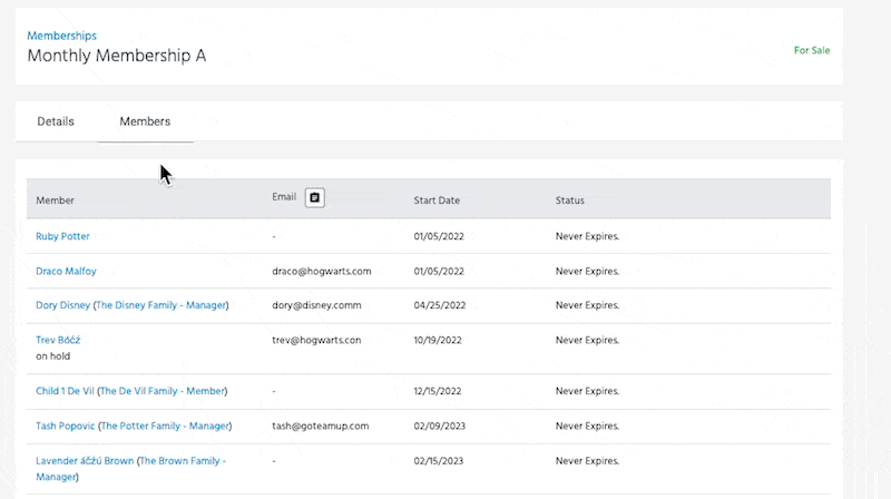 Members detail page and how to copy all email addresses.